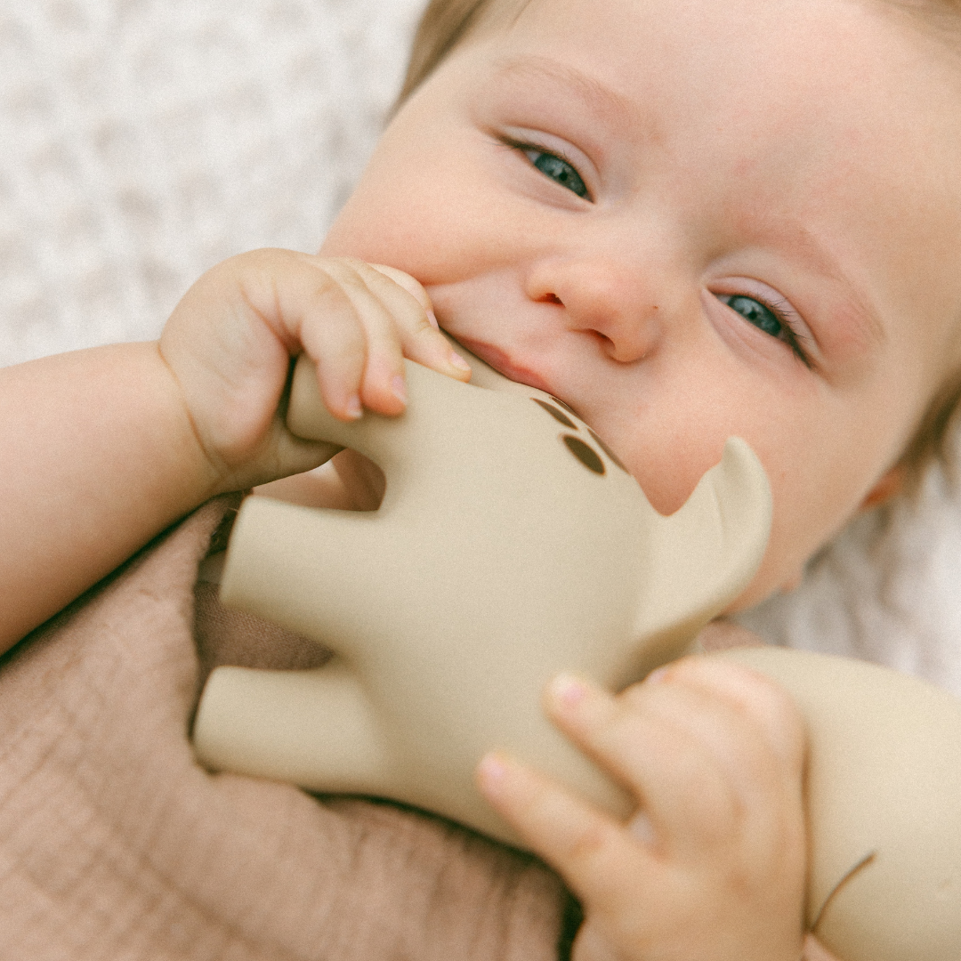 Teether | Diplo the Dino-Dragon