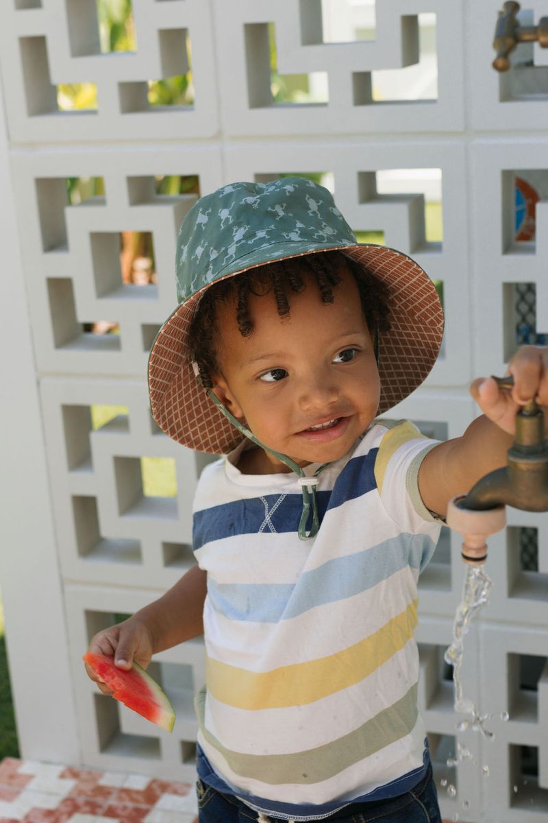 Hat | Wide Brim - Frogs