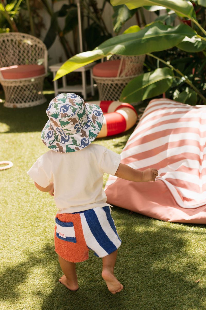 Hat | Wide Brim - T-Rex