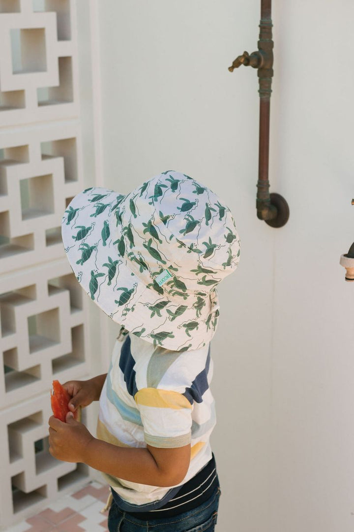 Hat | Wide Brim - Turtles