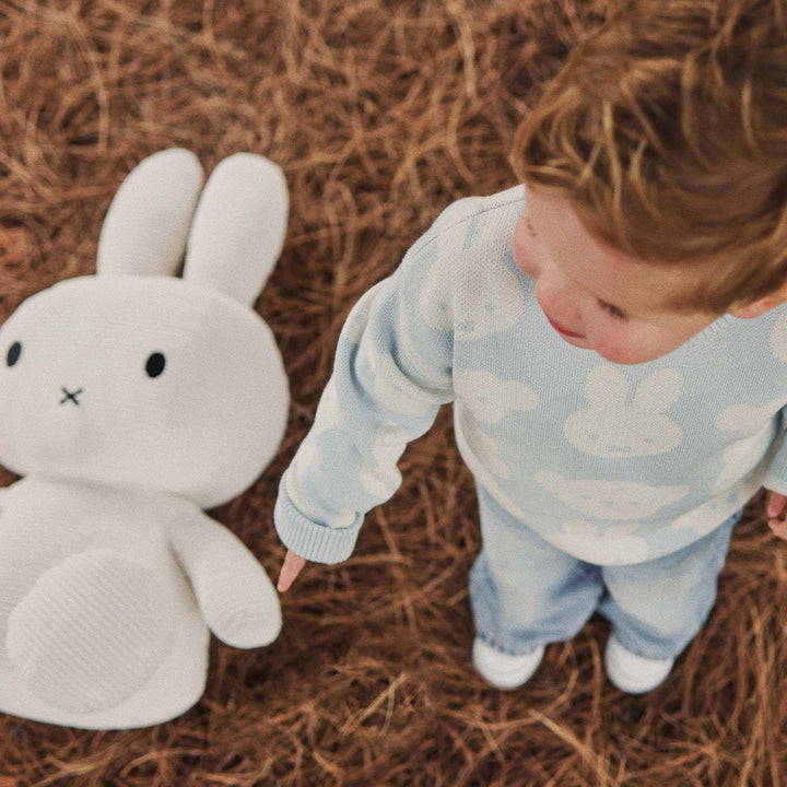 Jumper | Knit Jacquard - Miffy - Baby Blue