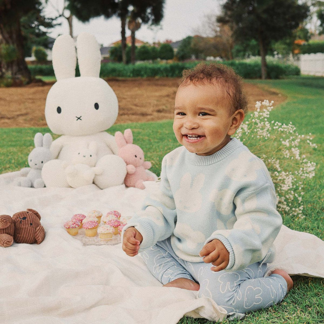 Jumper | Knit Jacquard - Miffy - Baby Blue