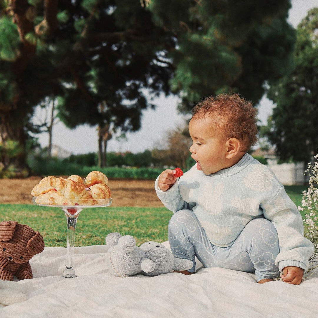 Jumper | Knit Jacquard - Miffy - Baby Blue