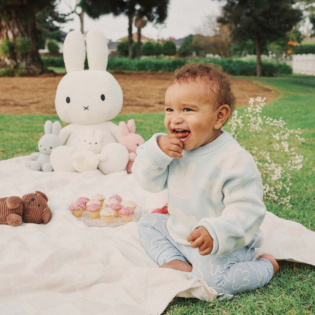 Jumper | Knit Jacquard - Miffy - Baby Blue