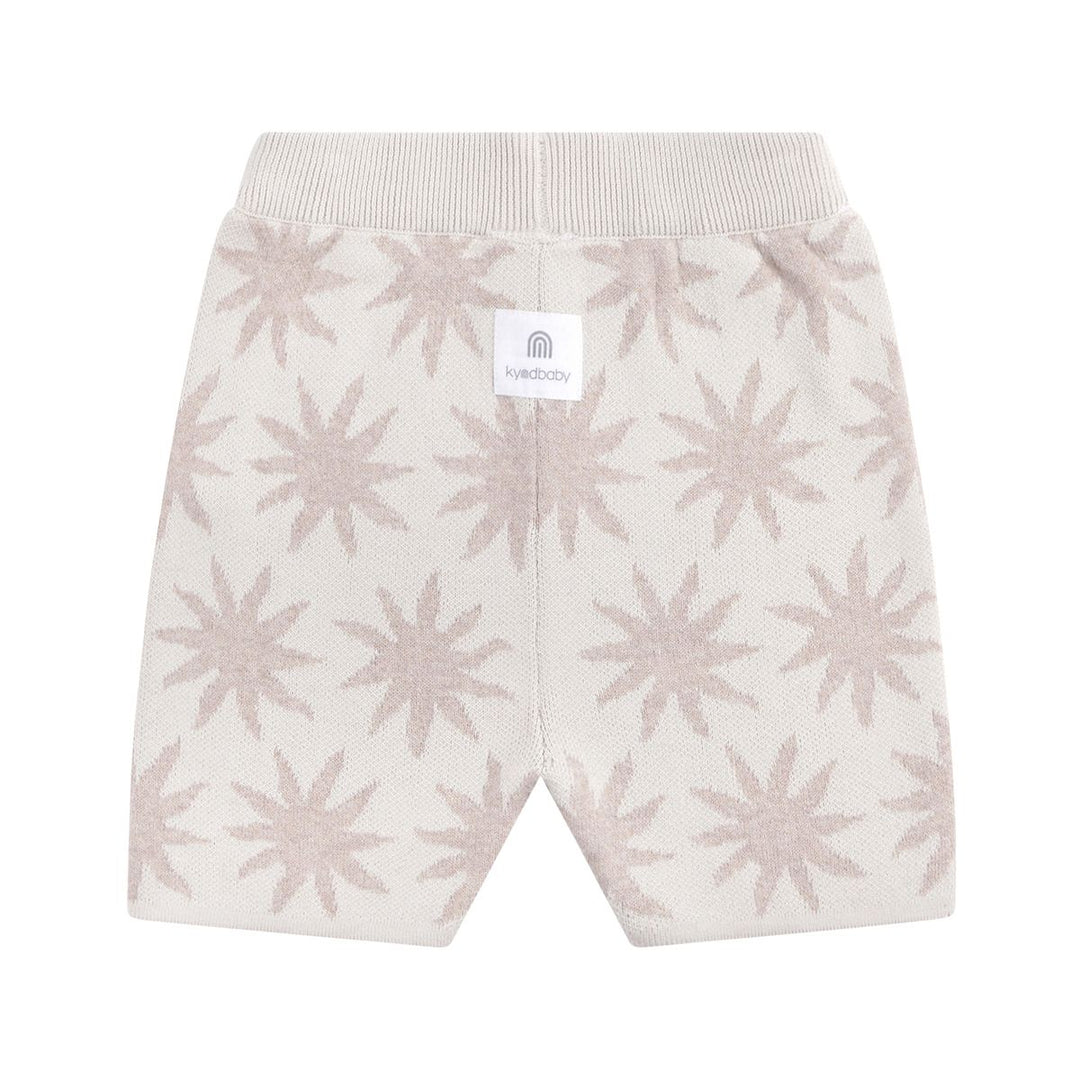 Bike Shorts | Knit - Sunset