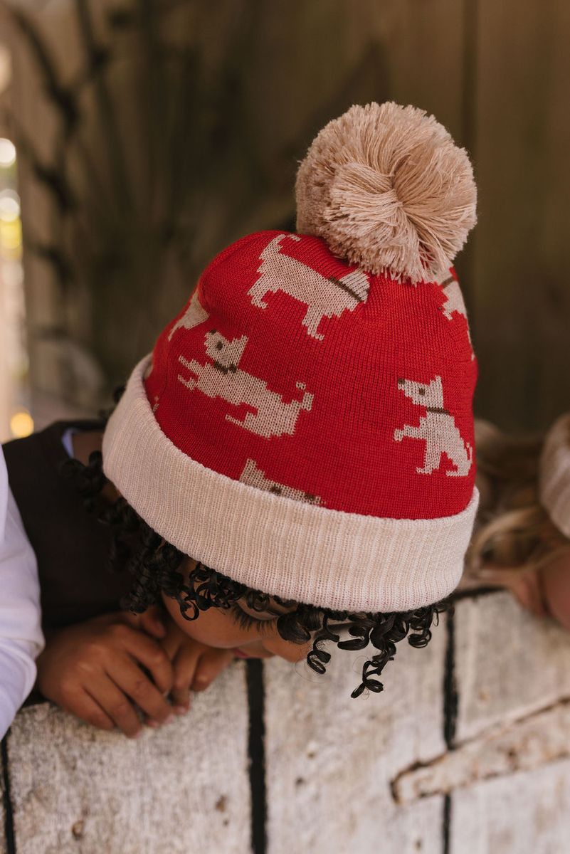 Beanie | Merino Puppy Dog - Red, Tan and Brown