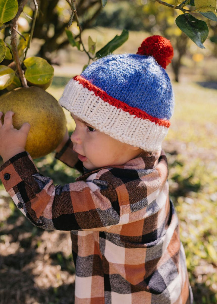 Beanie | Teddy - Blue and Red