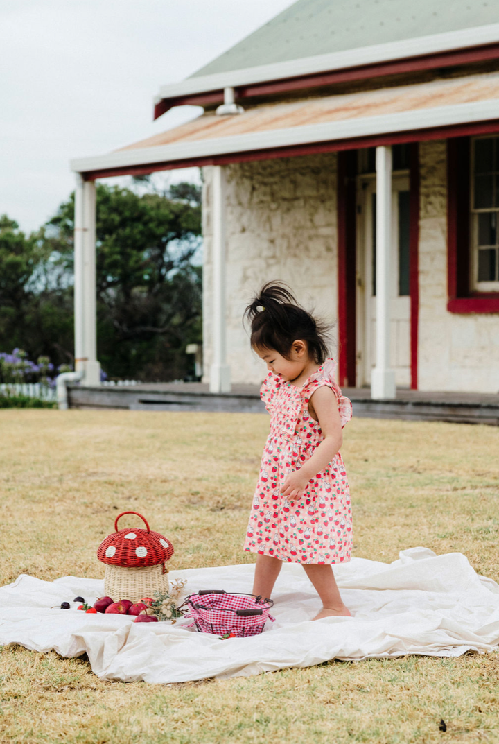 Smock Dress | Miffy - Berry Check