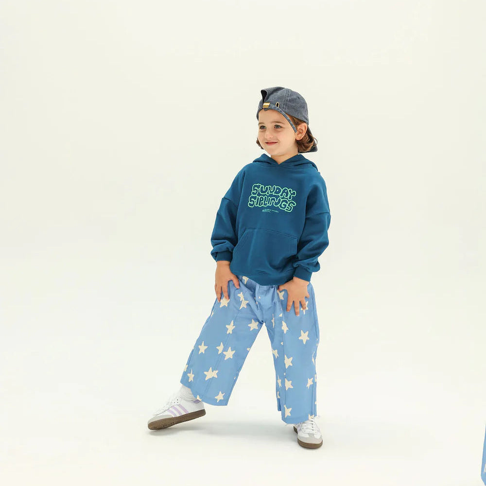 Park Party Hoodie - Navy
