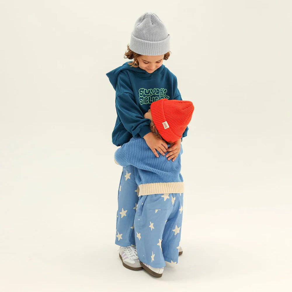 Sibling Cardigan - Blue
