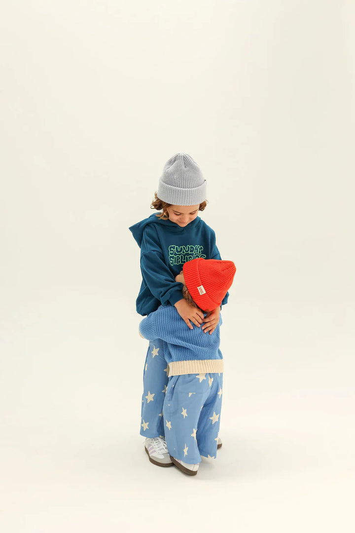Park Party Hoodie - Navy