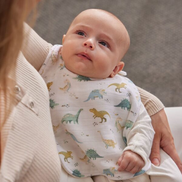 Muslin Bib Set of 2 - Dinosaurs