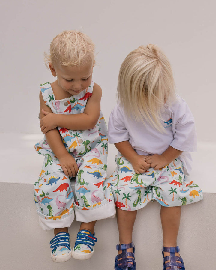 Ben Canvas - Rainbow Dino