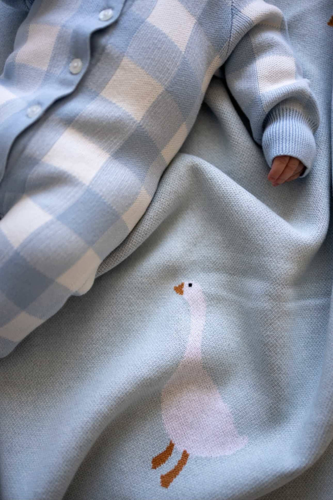 Blanket | Goose
