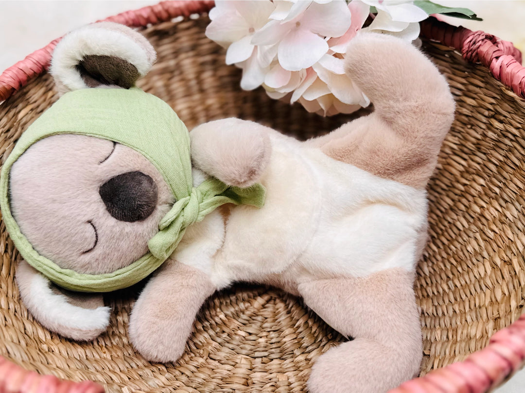 Plush | Sleeping Koala