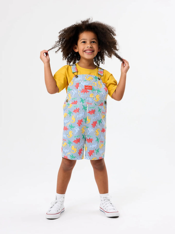 Dino Print Burton Overall