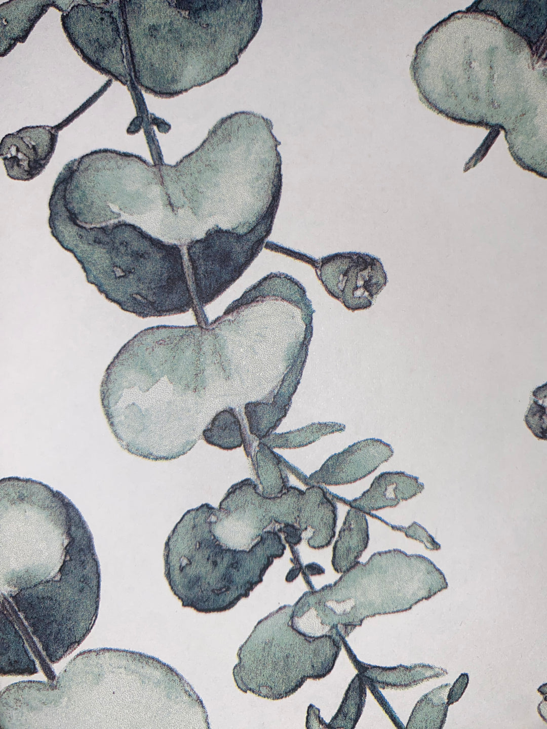 Complimentary Gift Wrapping