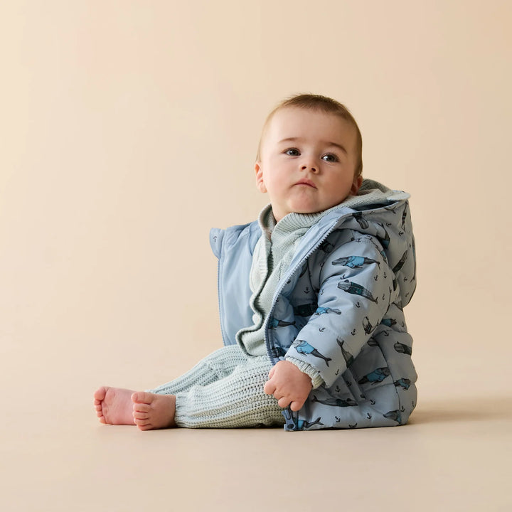Jacket | Puffer - Woolly Whales