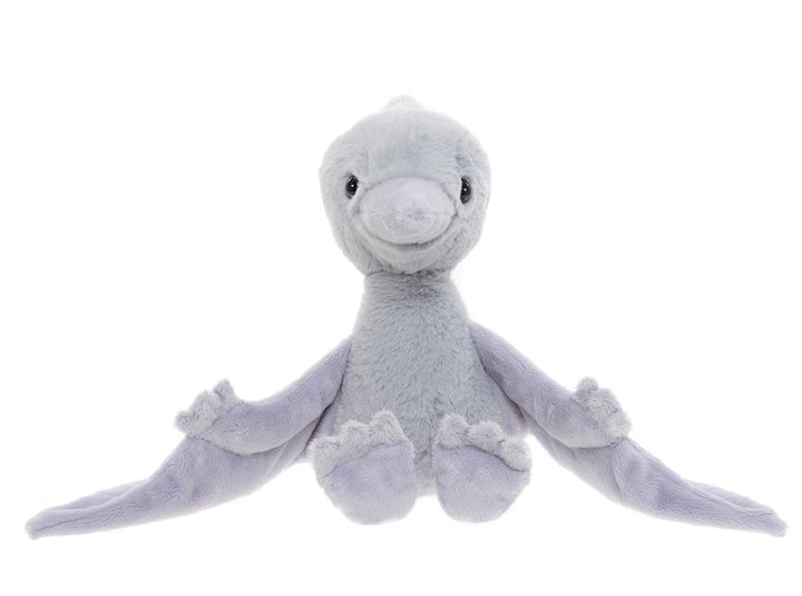 Wings Pterodactyl