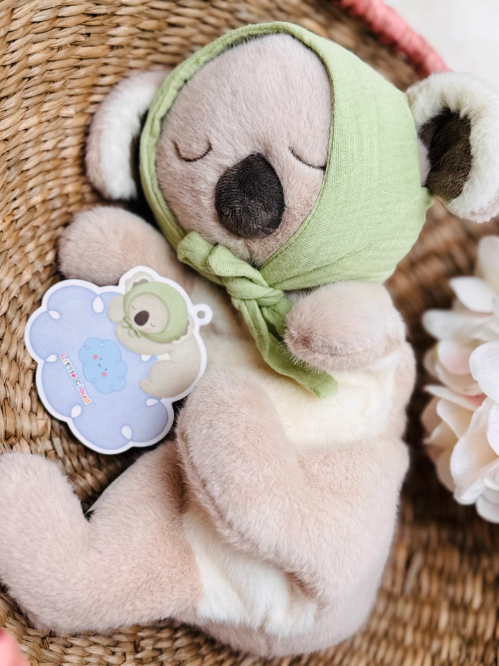Plush | Sleeping Koala