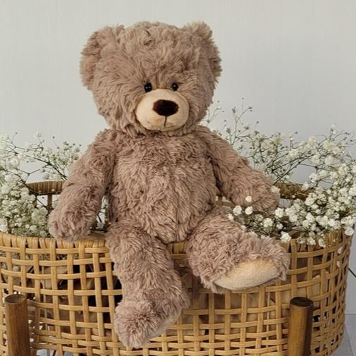 Plush Bear | Billy