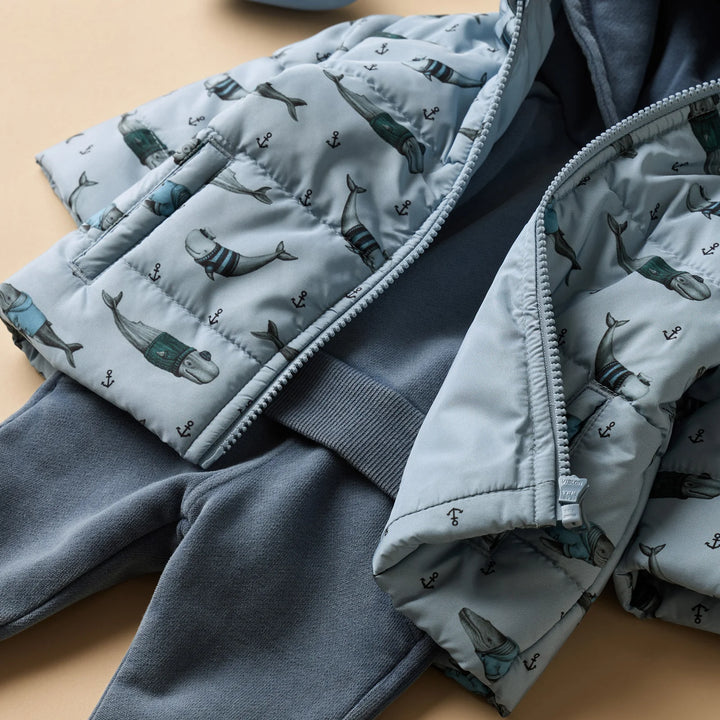Jacket | Puffer - Woolly Whales