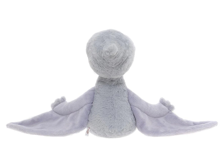 Wings Pterodactyl