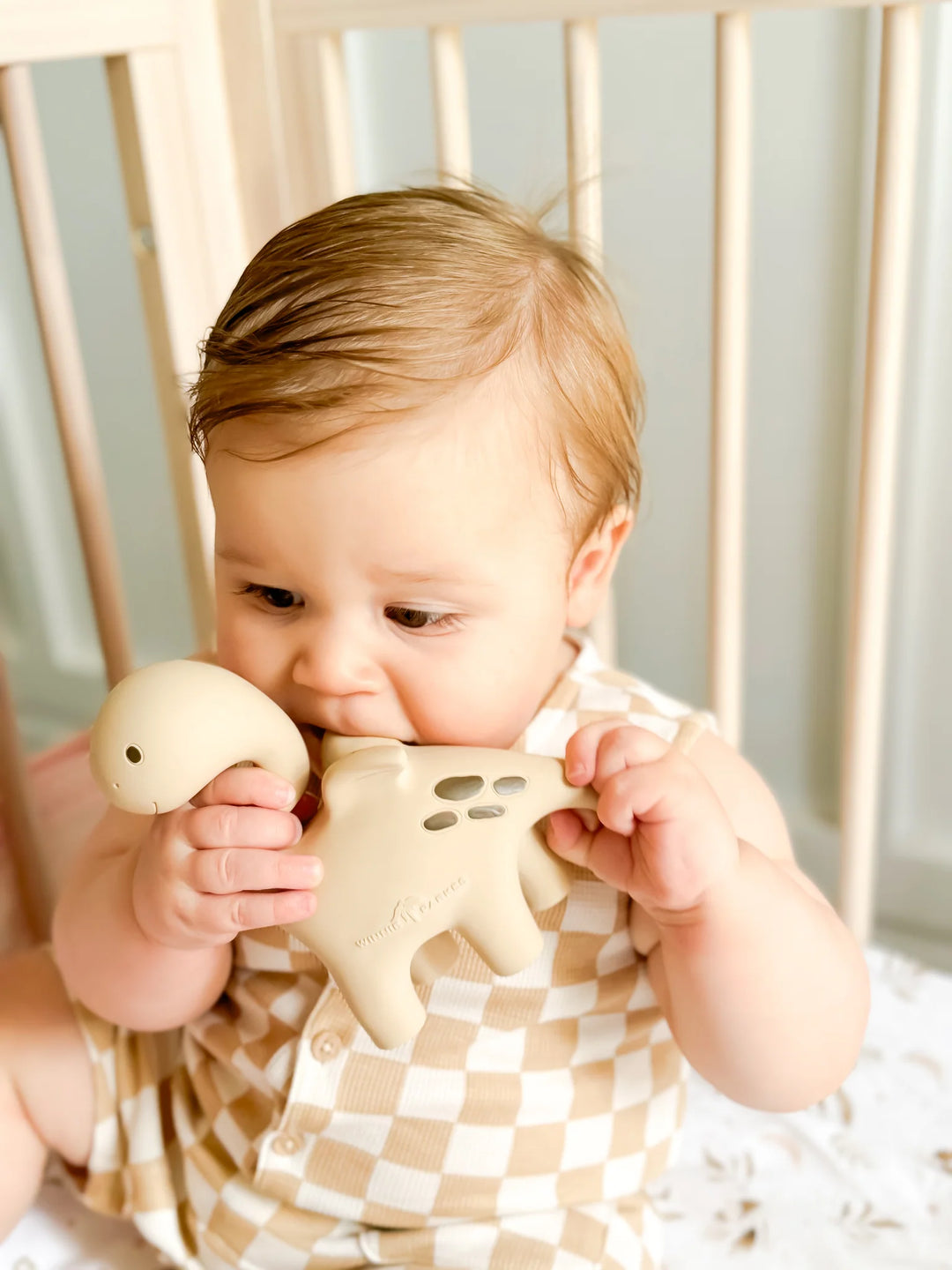 Teether | Diplo the Dino-Dragon