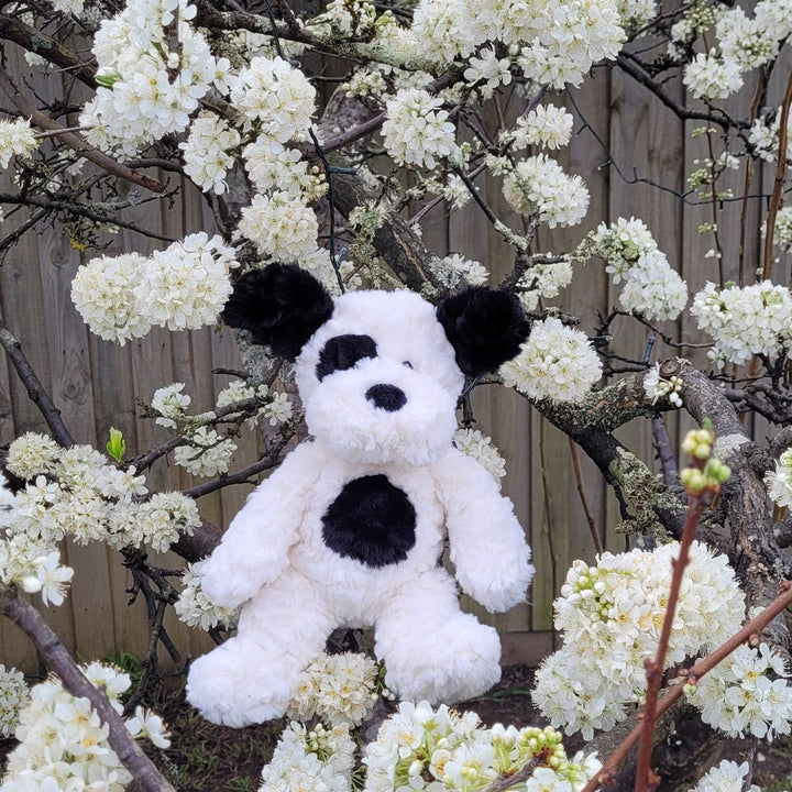 Plush Dog | Harry