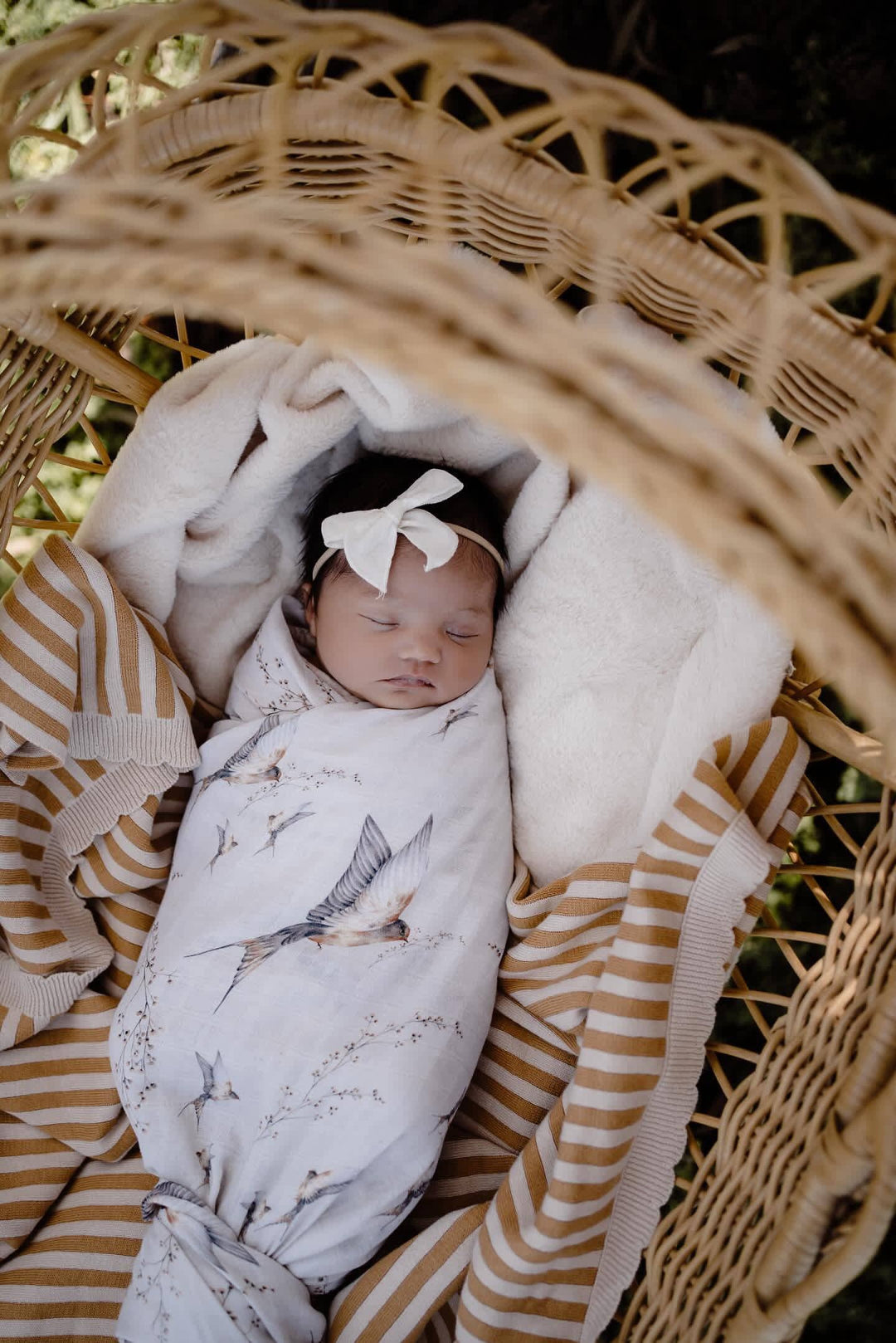 Swaddle | Organic - Nightingale