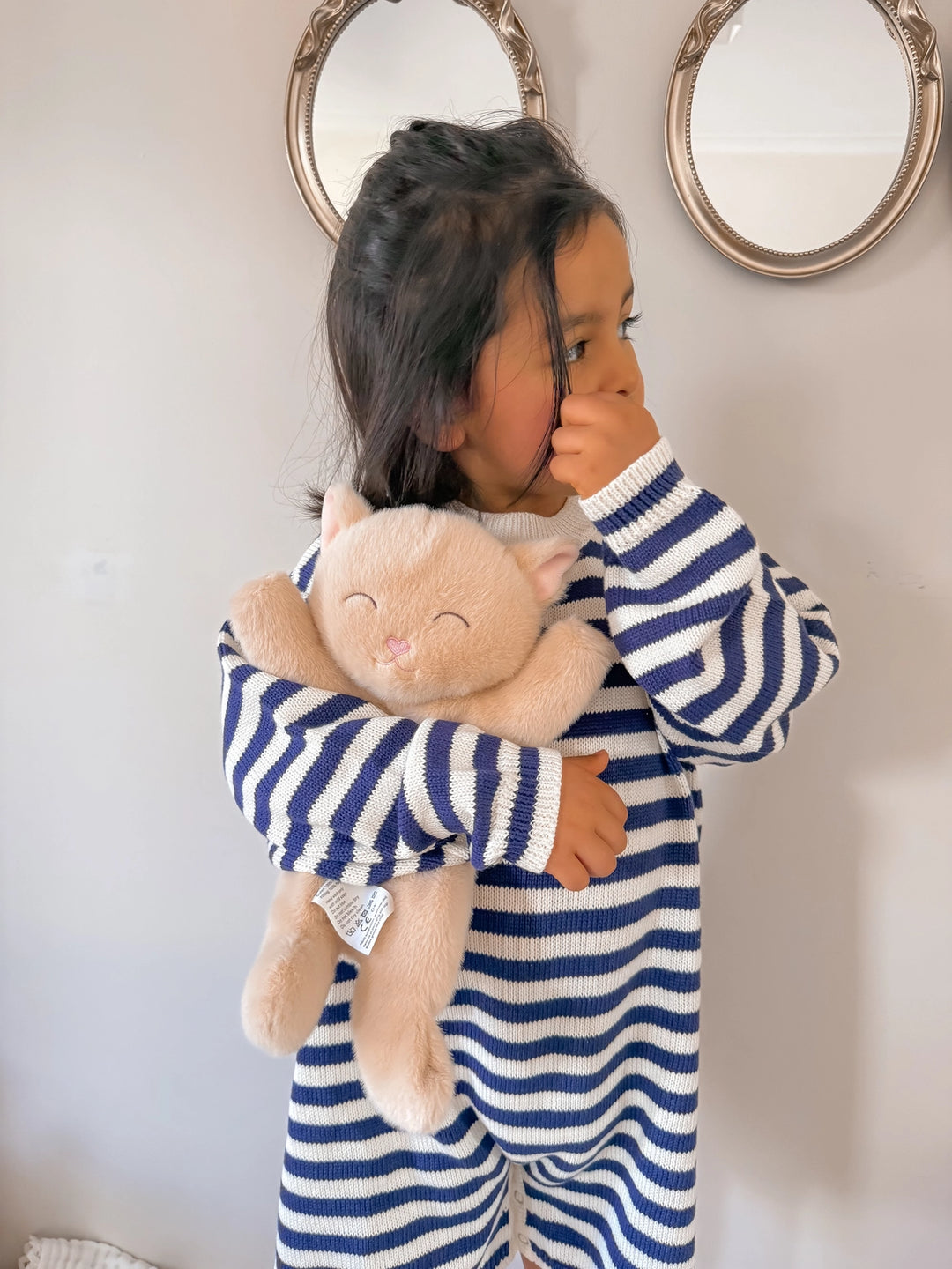 Plush | Sleeping Cat