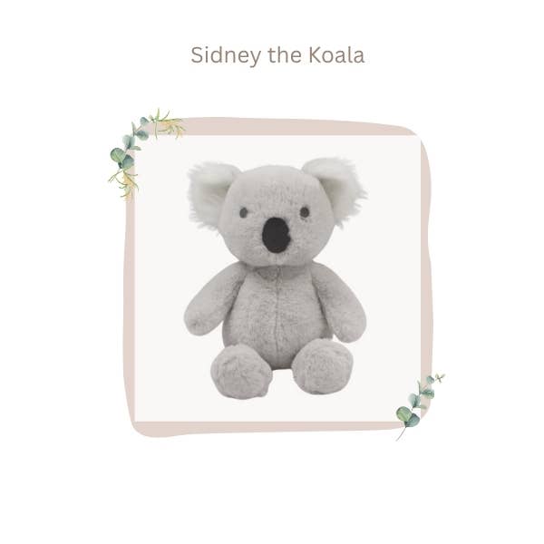 Plush Koala | Sidney