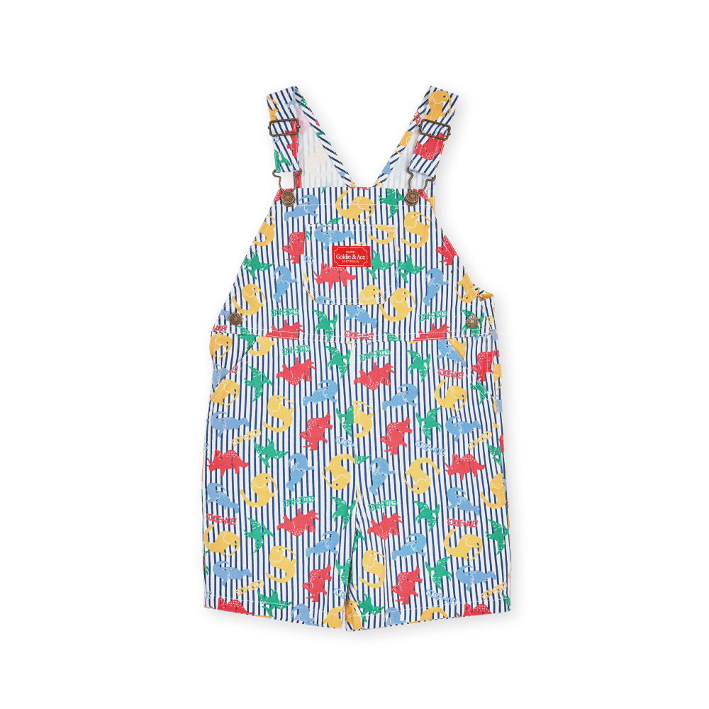 Dino Print Burton Overall