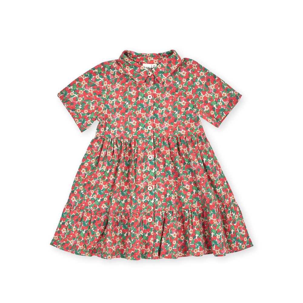 Strawberry Monica Dress
