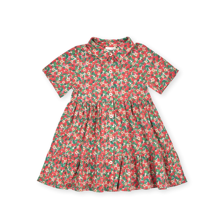 Strawberry Monica Dress