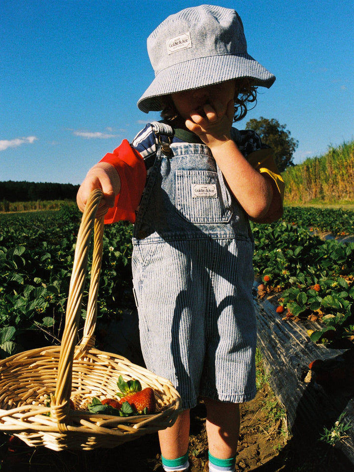 Railroad Denim Bucket Hat