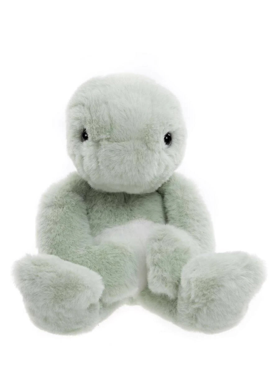 Timmy Tortoise