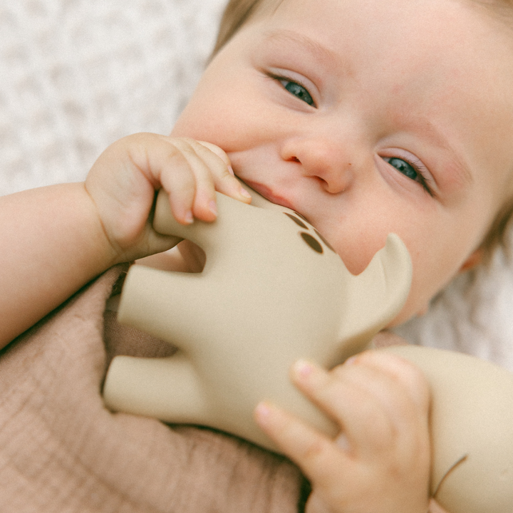 Teether | Diplo the Dino-Dragon
