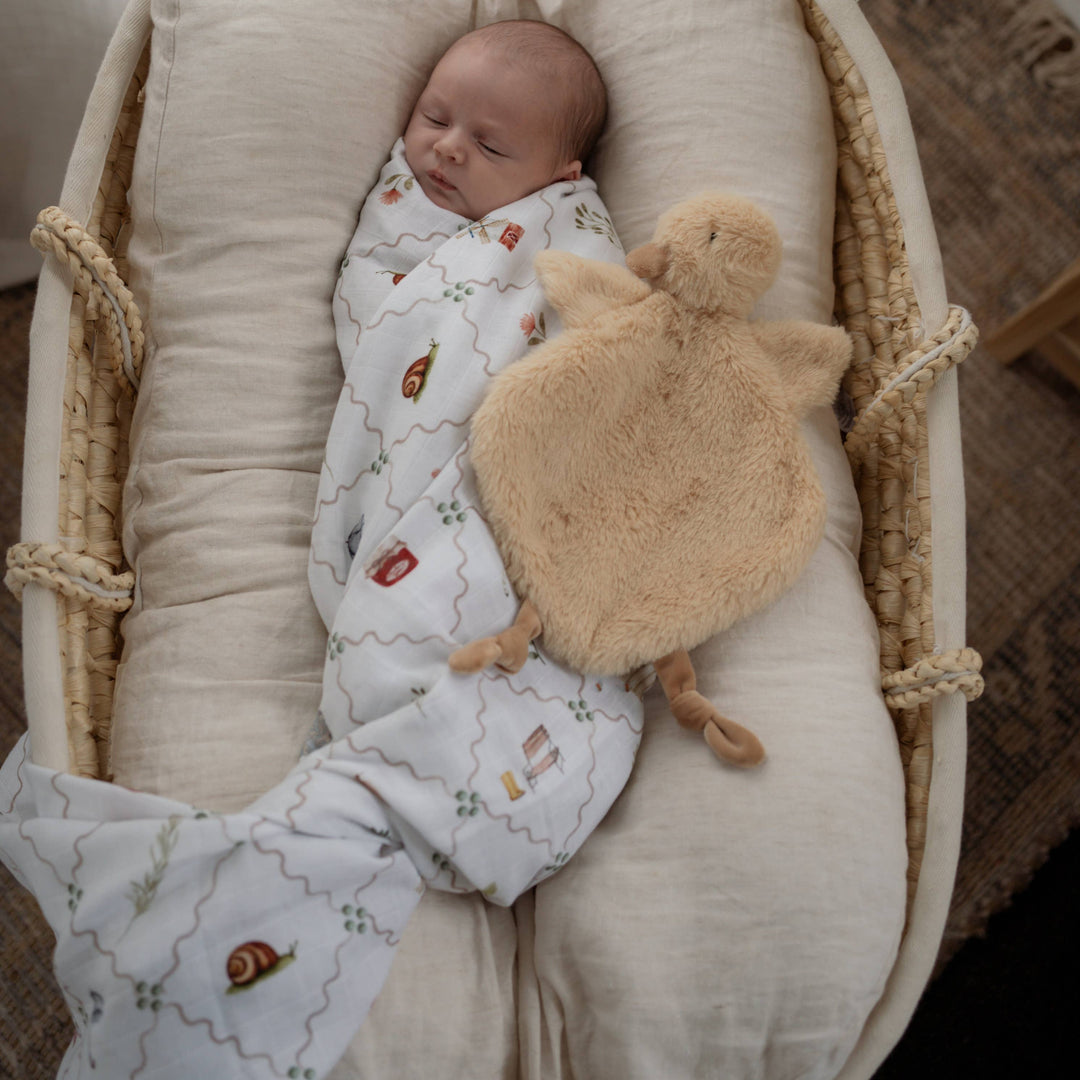 Swaddle | Organic - Cottage Picnic