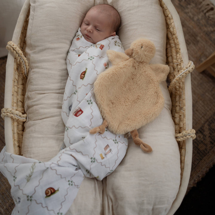 Swaddle | Organic - Cottage Picnic
