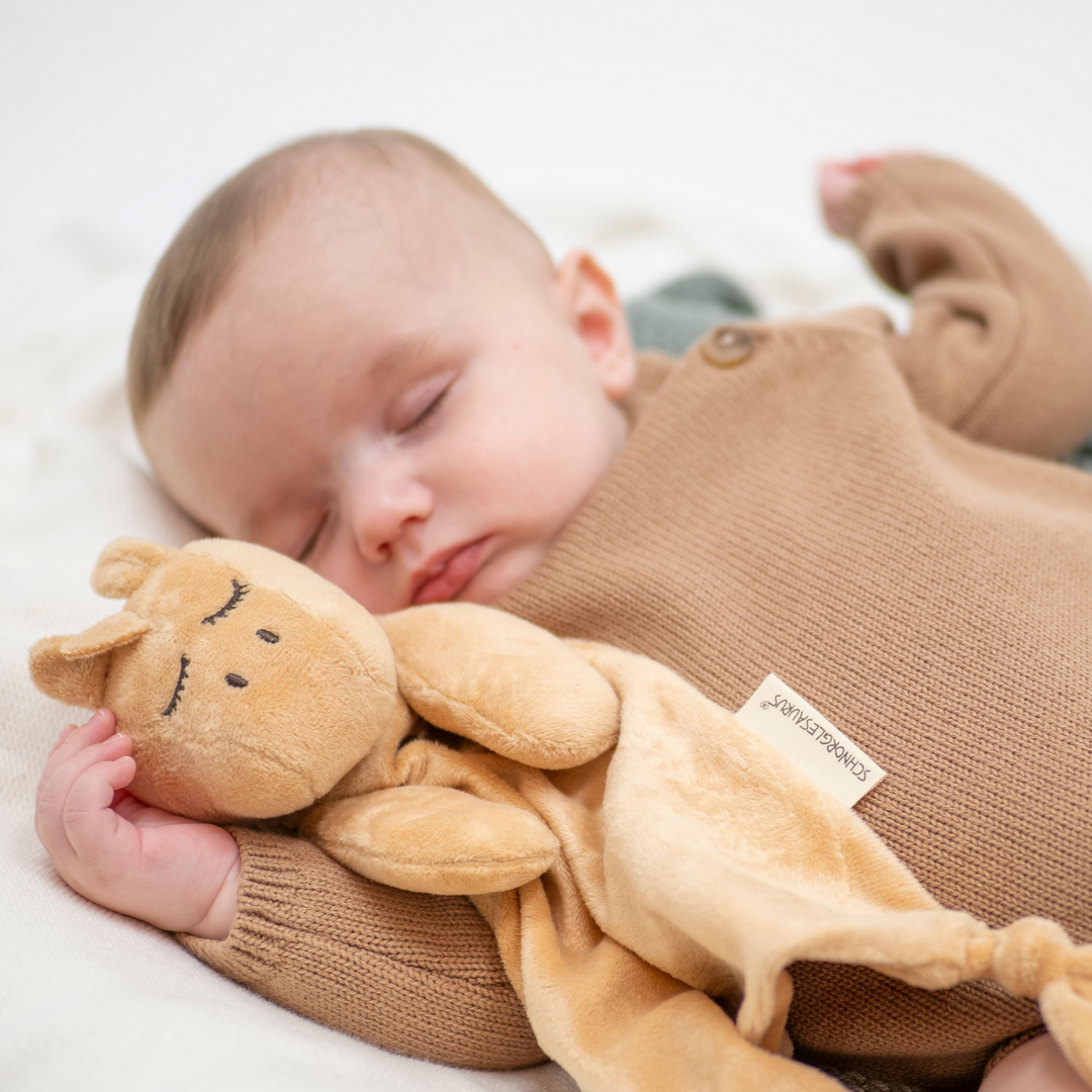 Baby Bundle - Cosy Caramel