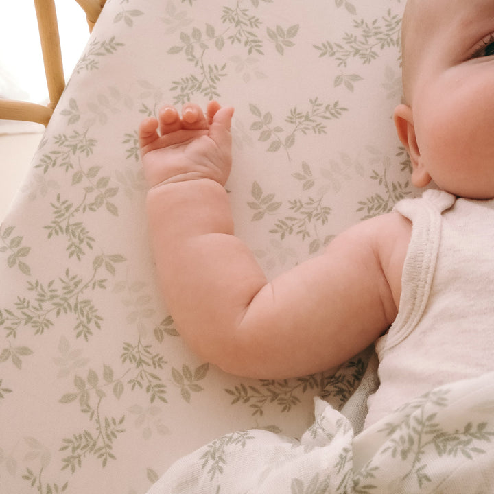 Bassinet | Fitted Sheet/Change Pad Cover | Organic - Cypress