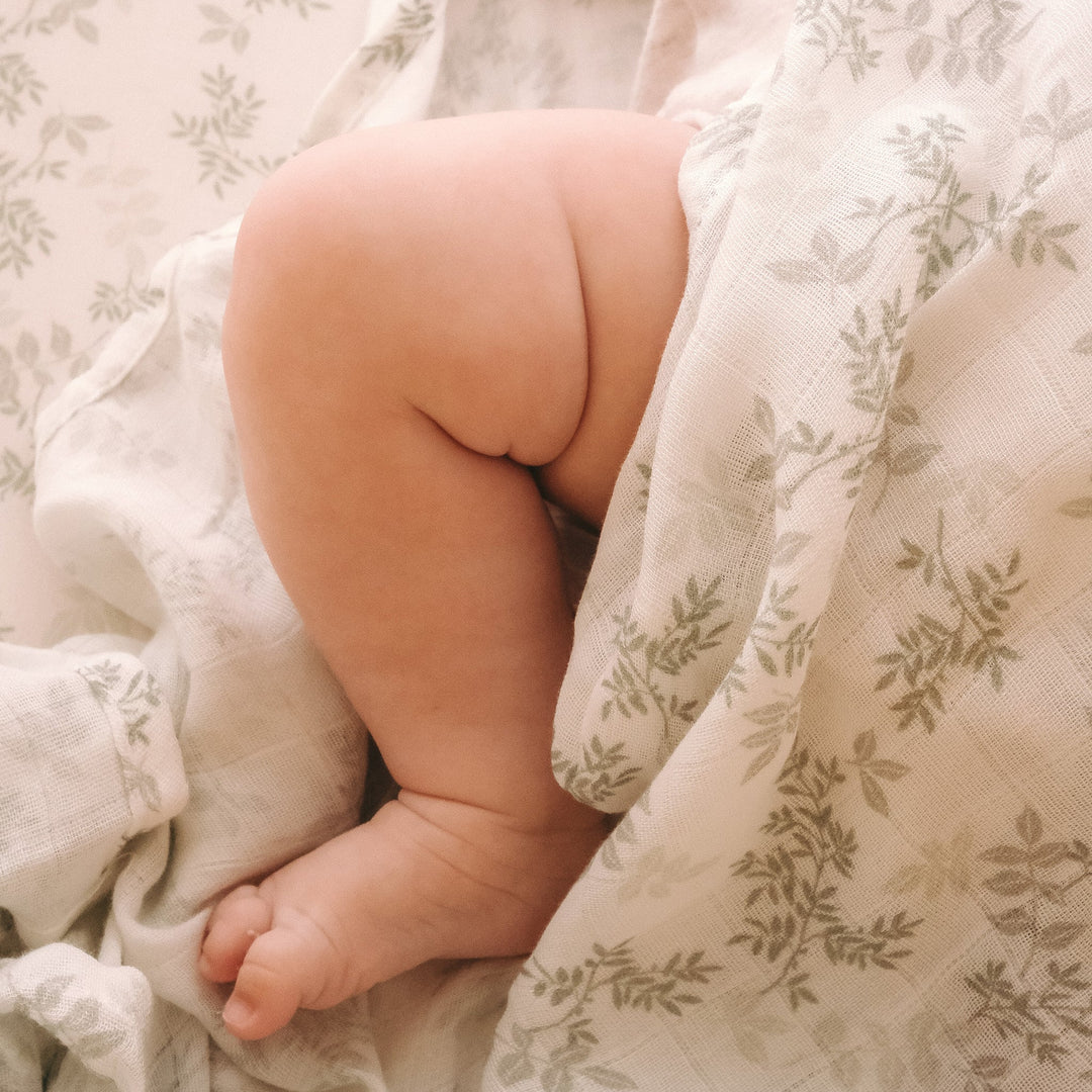 Bassinet | Fitted Sheet/Change Pad Cover | Organic - Cypress