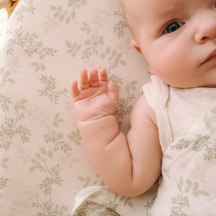 Bassinet | Fitted Sheet/Change Pad Cover | Organic - Cypress