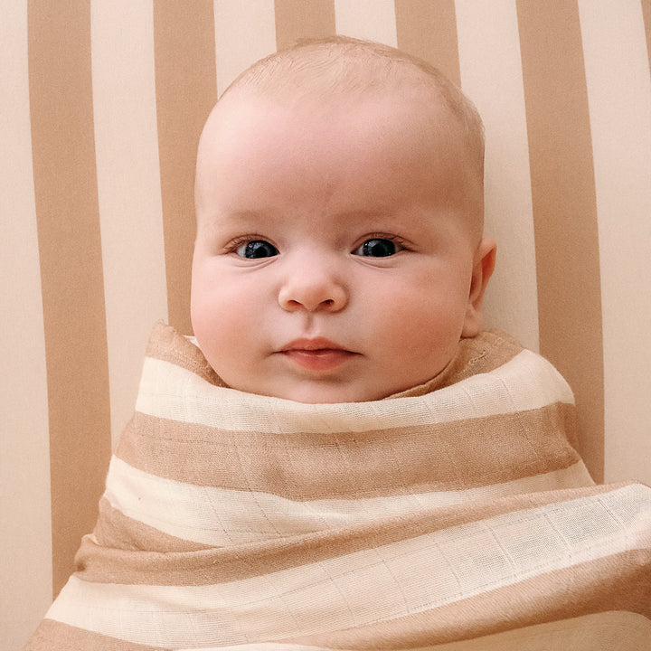 Bassinet | Fitted Sheet/Change Pad Cover | Organic - Coffee Stripe