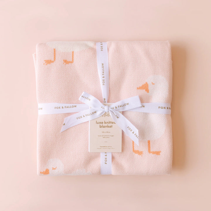 Blanket | Pink Ducks