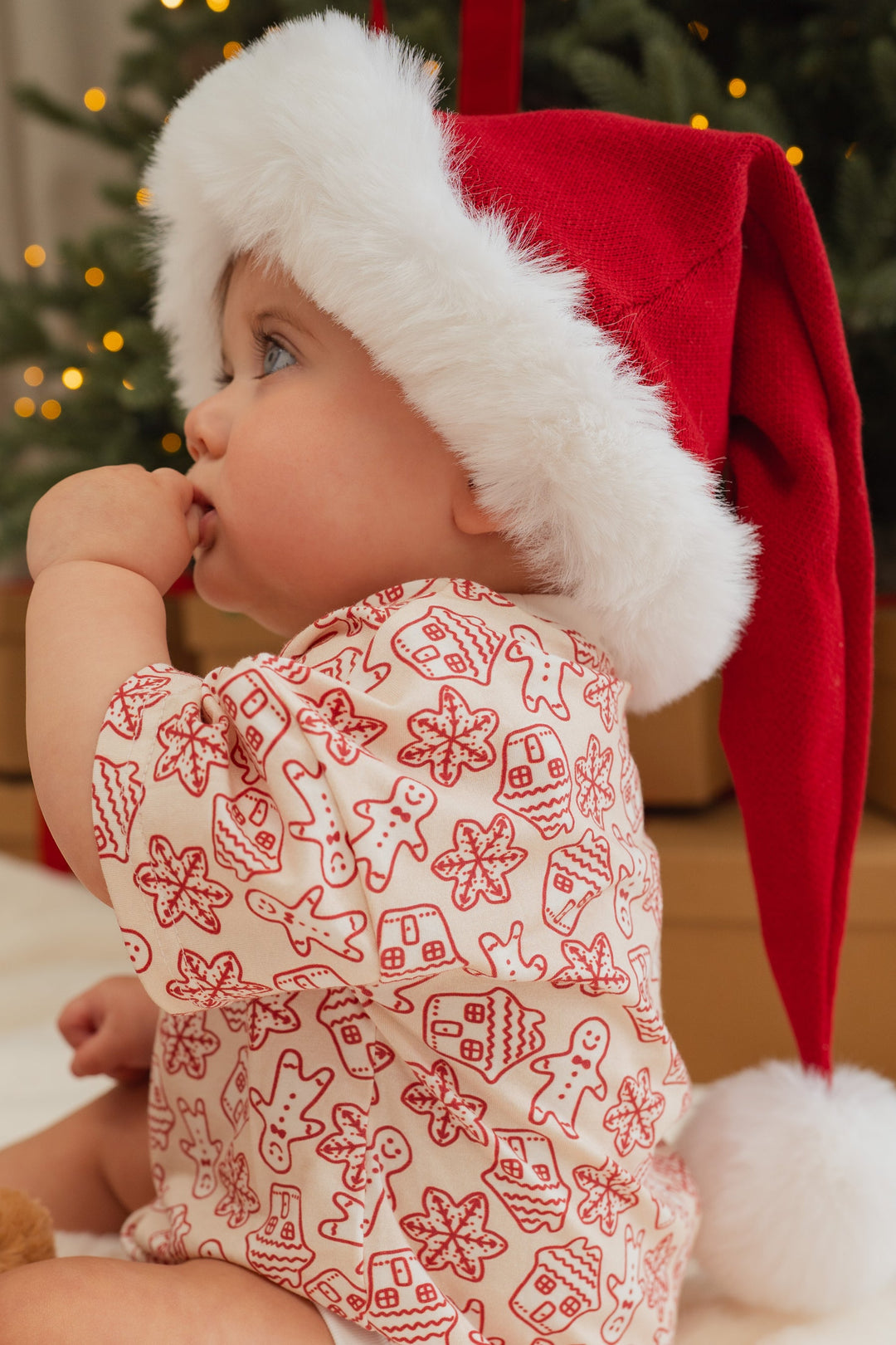 Knit Santa Hat | Rudolph Red