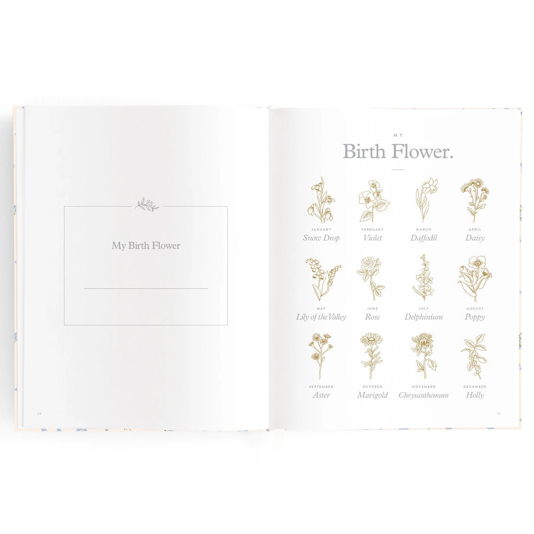 Baby Book | Bellflower