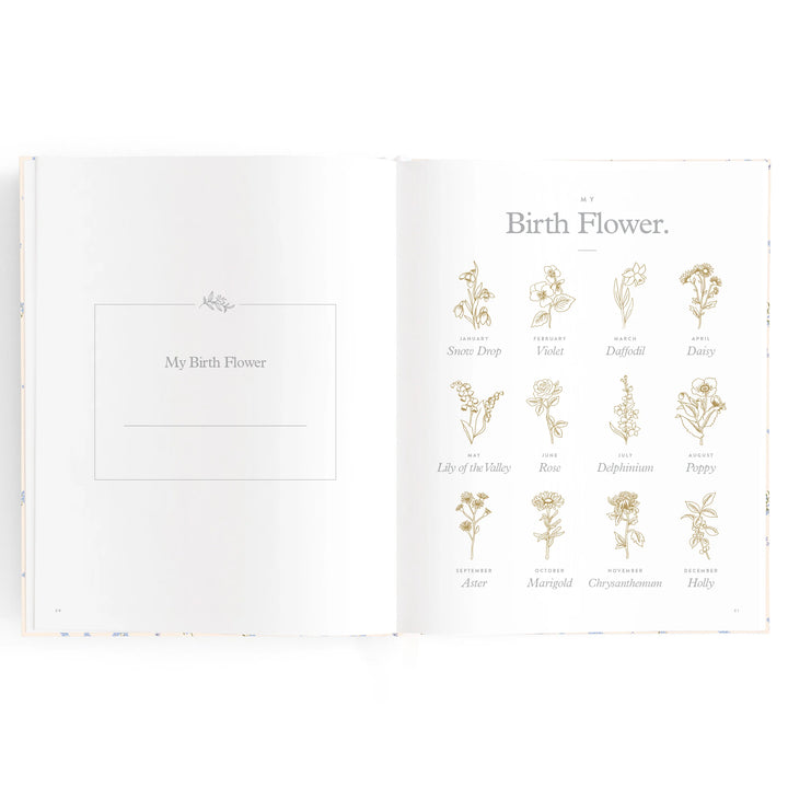 Baby Book | Bellflower