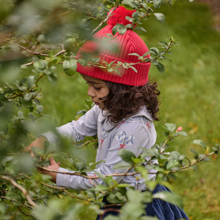 Beanie | Forest - Red